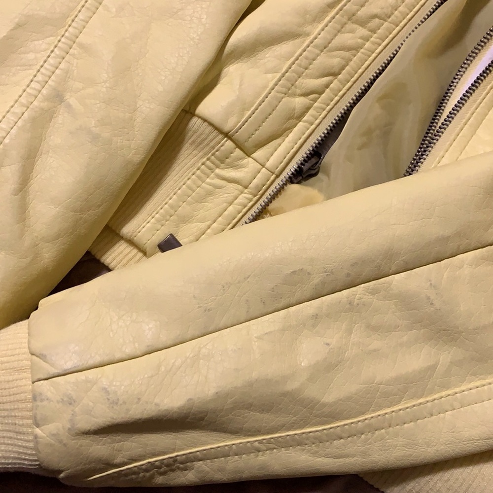Yellow Jacket - Picture 3 of 5